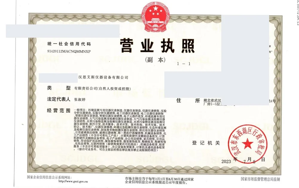 武汉恩艾斯 · 企业信用报告 含营业执照