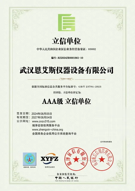 武汉恩艾斯 · 立信单位 AAA级